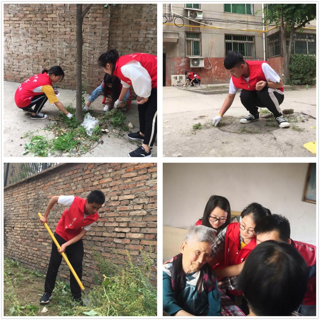 志愿服务活动场景